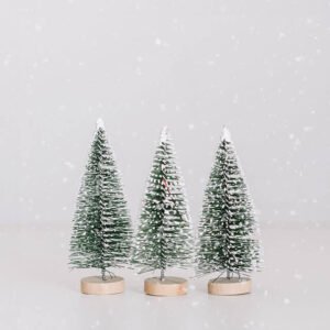Enchanted Evergreens Collection